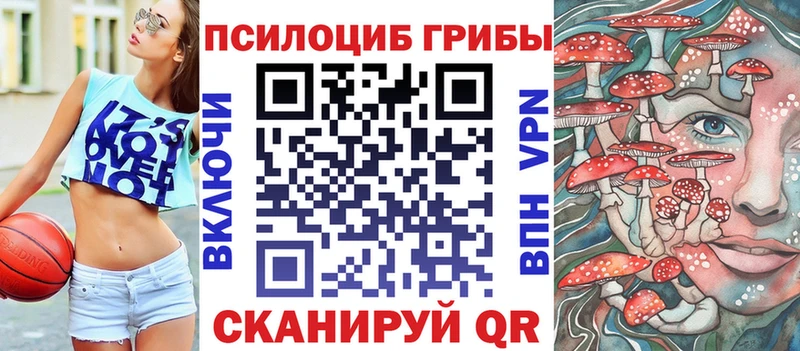 Псилоцибиновые грибы Cubensis  Городовиковск 