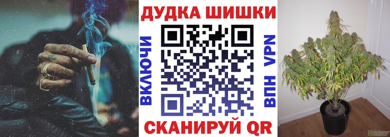 Шишки марихуана конопля Городовиковск